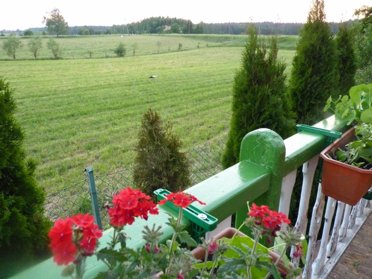 Bed and Breakfast Sloneczna Weranda Выдмины Экстерьер фото