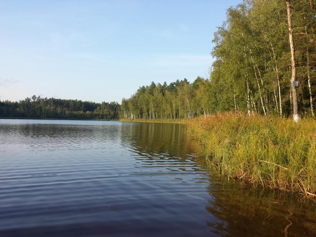 Bed and Breakfast Sloneczna Weranda Выдмины Экстерьер фото
