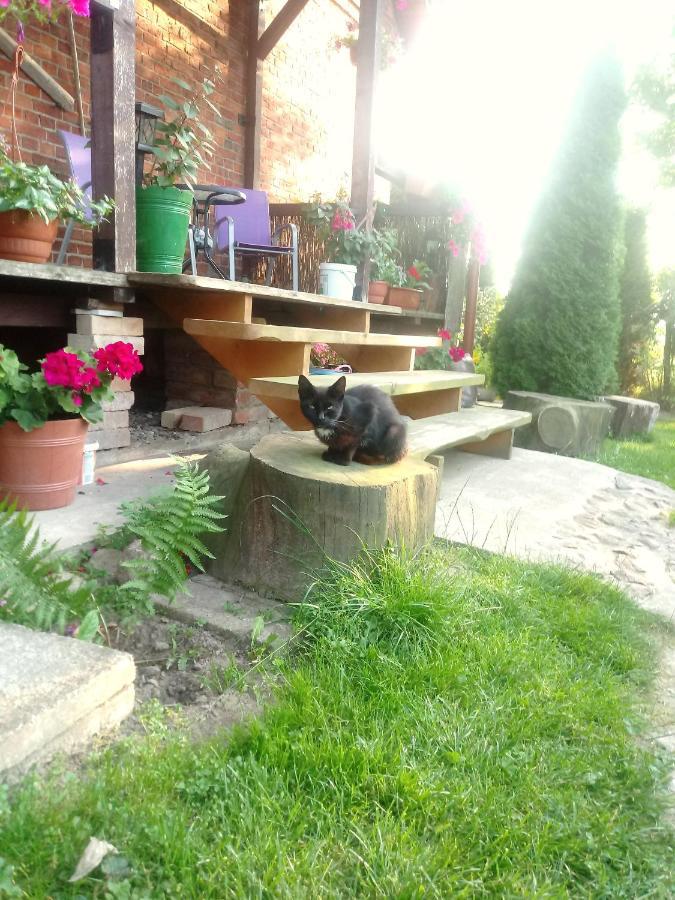 Bed and Breakfast Sloneczna Weranda Выдмины Экстерьер фото